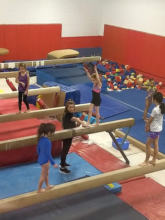 Lake Forest Gymnastics Academy Picture 1