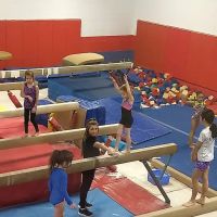 Lake Forest Gymnastics Academy ico