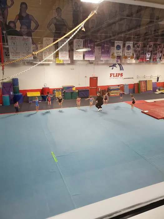 Lake Forest Gymnastics Academy Picture 4