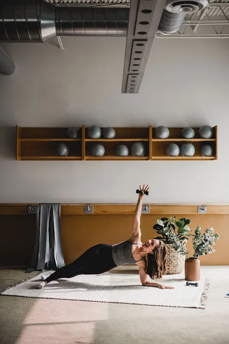 BIRD barre Picture 2