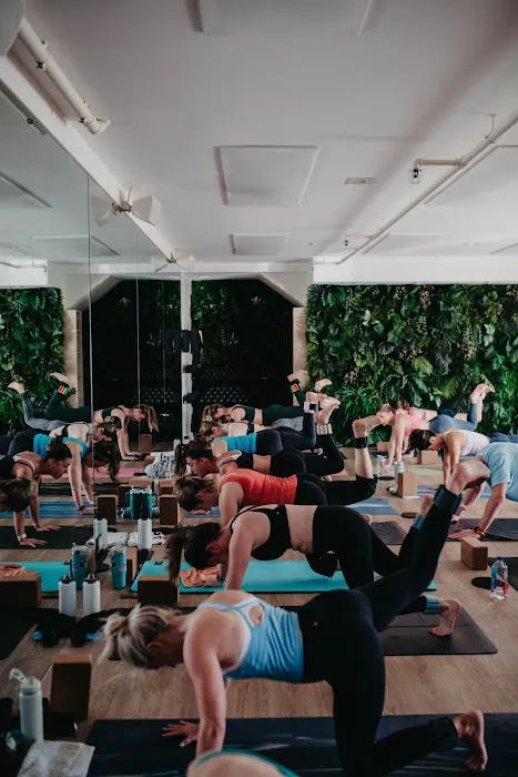 Toned Yoga Picture 4