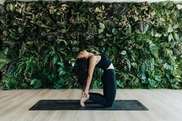 Toned Yoga Picture 6