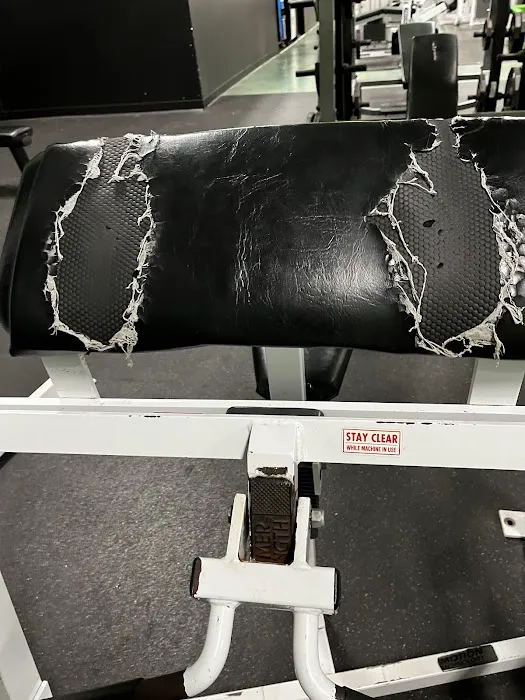 Forge Fitness Picture 1