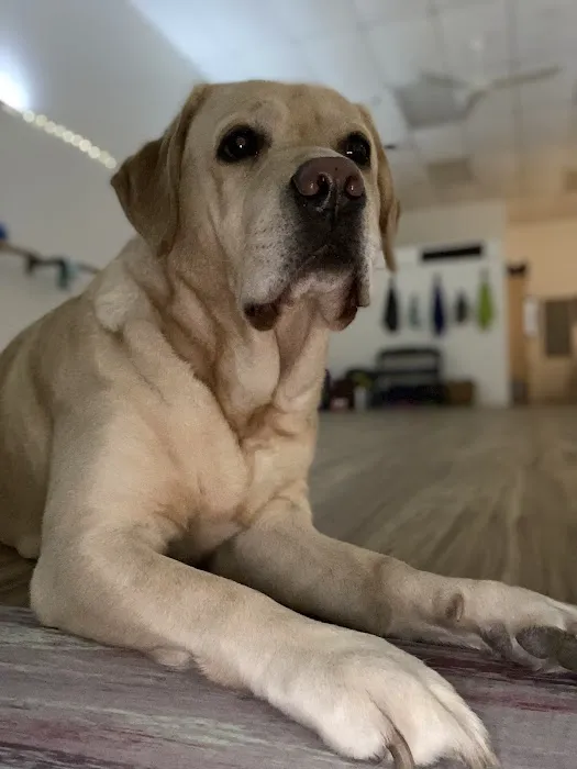 Nurtured Soul Studios Picture 2