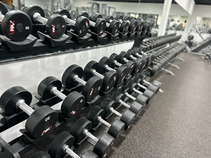 The Iron Hive Picture 6