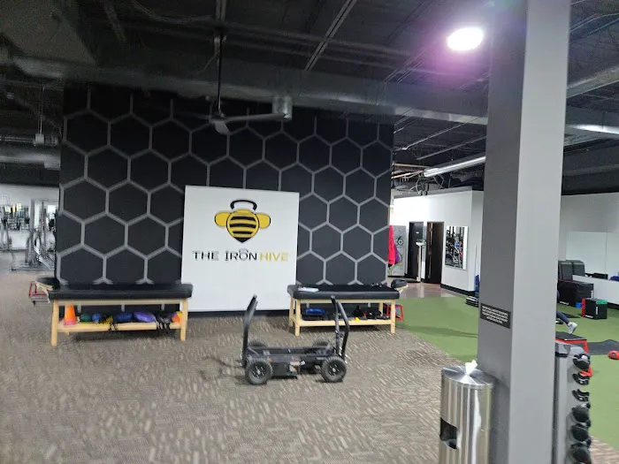 The Iron Hive Picture 5