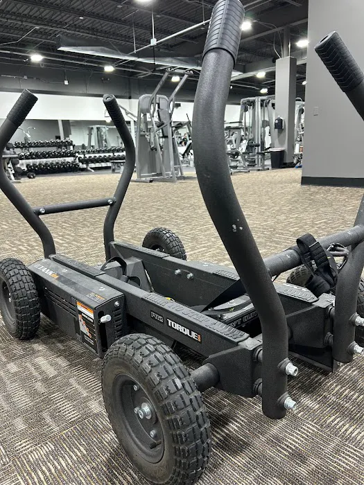 The Iron Hive Picture 8