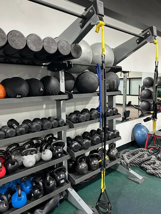 The Iron Hive Picture 9