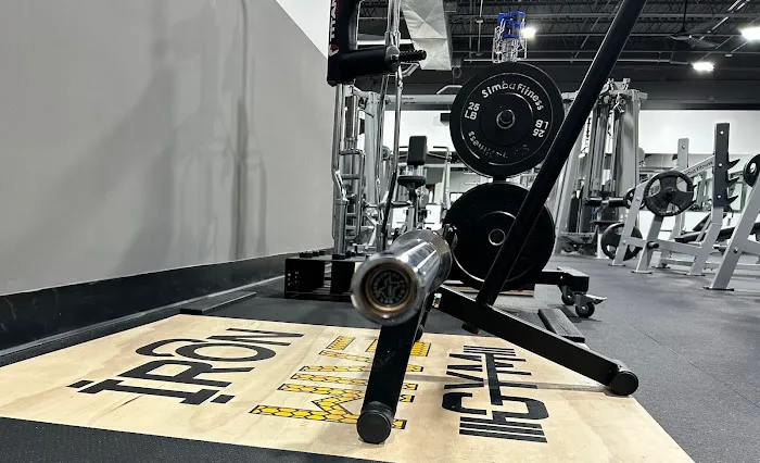 The Iron Hive Picture 2