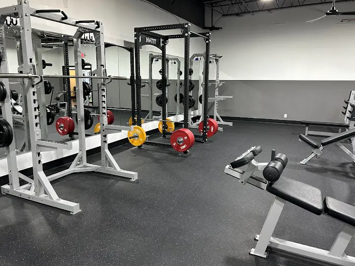 The Iron Hive Picture 4