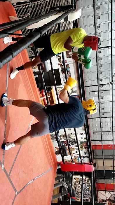 RIVERABOXING Picture 1