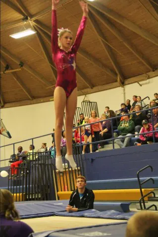 GymStars, LLC Picture 1