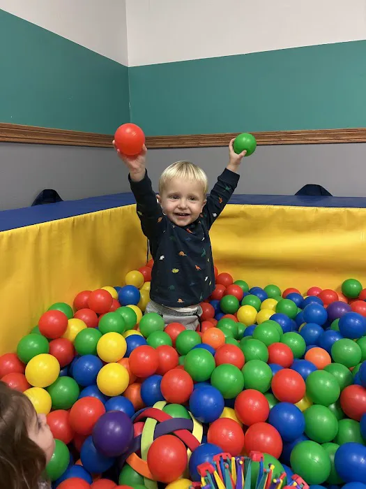 Libertyville Gymnastics Academy Picture 5