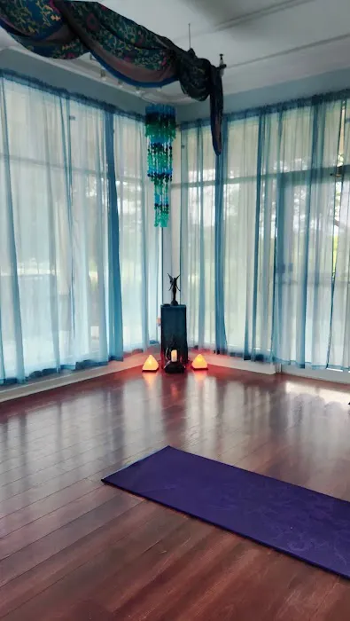 The Traveling Yogi Picture 1