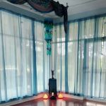 The Traveling Yogi