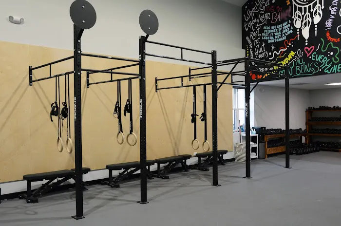 The Tribal Connection Picture 7