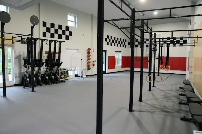 The Tribal Connection Picture 5