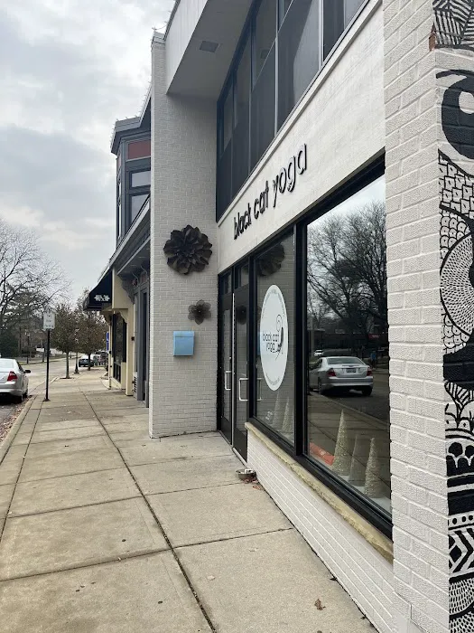 Black Cat Yoga Picture 9