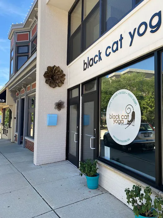 Black Cat Yoga Picture 1