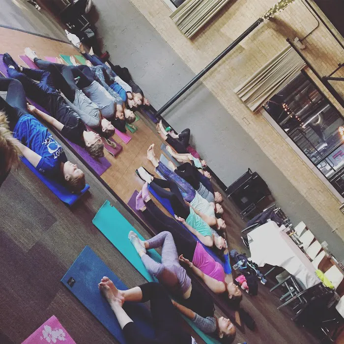 Black Cat Yoga Picture 4