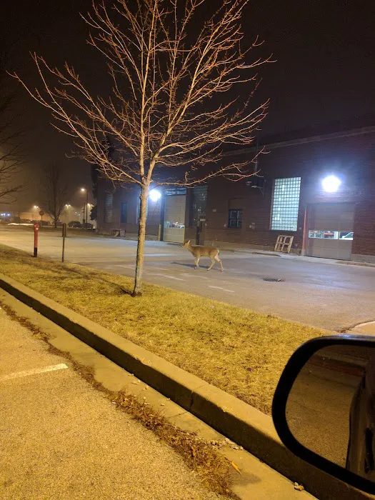 Bldg 4 Gym Picture 10