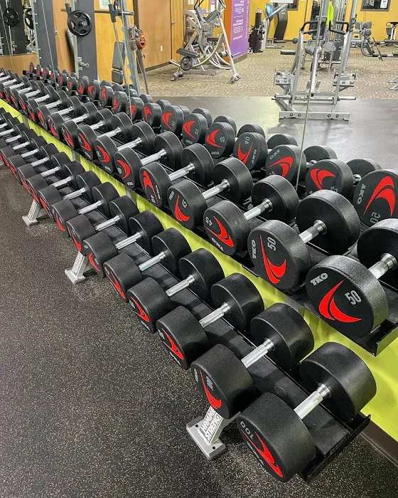 Anytime Fitness Crestwood Picture 6