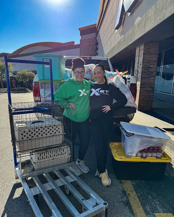 Xist Fitness Picture 9