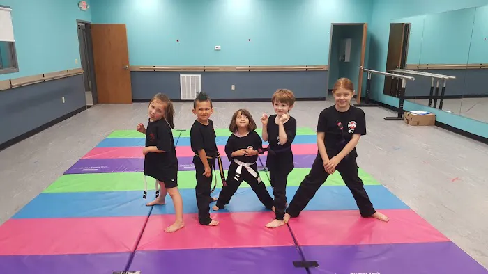 The Martial Arts Center Picture 1