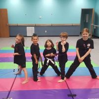 The Martial Arts Center ico