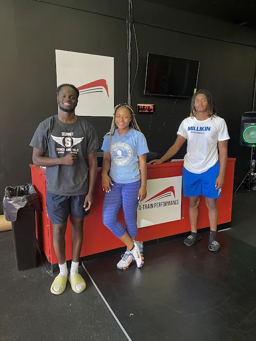 A-Train Performance Picture 1