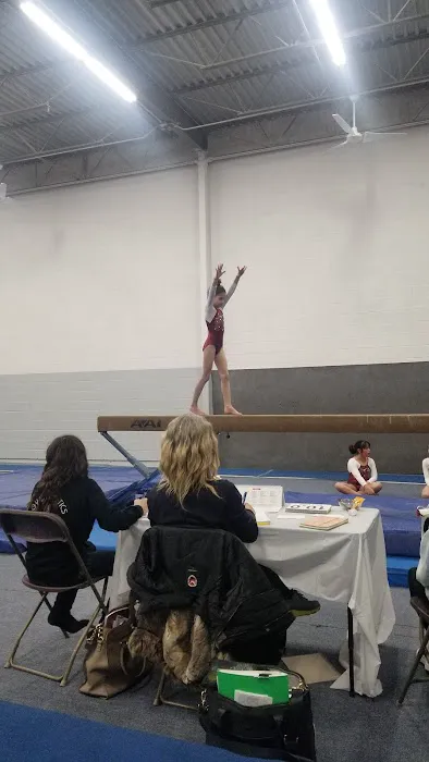 Gymnastics Factory Picture 5