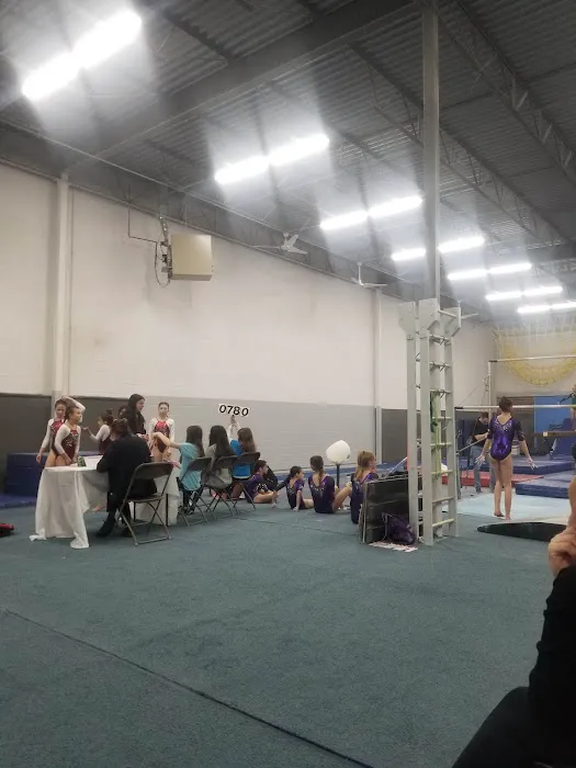 Gymnastics Factory Picture 1