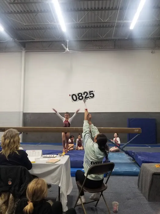 Gymnastics Factory Picture 7