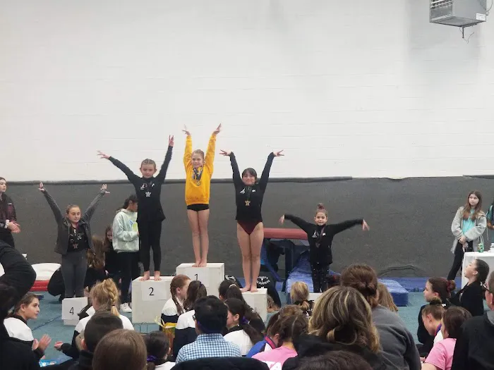 Gymnastics Factory Picture 4