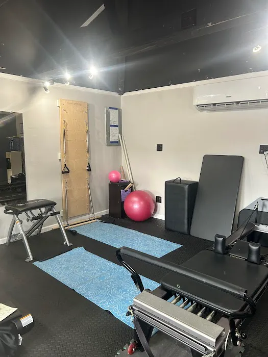 Gorilla Gym Picture 4