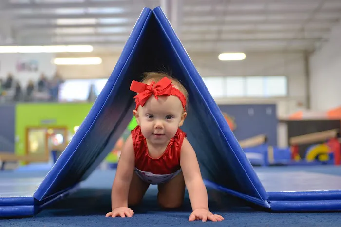 St Louis Spirits Gymnastics Club Picture 7