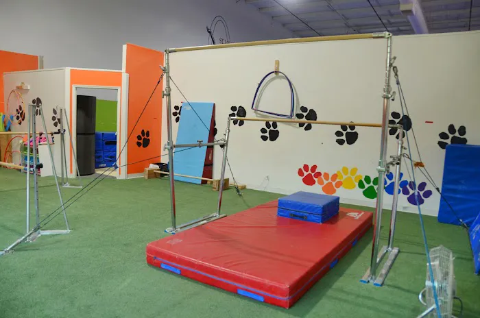 St Louis Spirits Gymnastics Club Picture 8