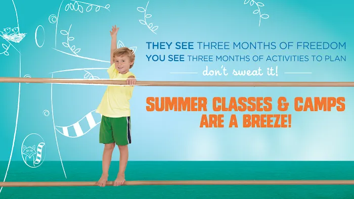 The Little Gym of Fenton Picture 8