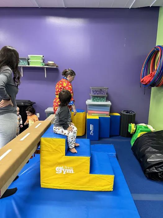 The Little Gym of Fenton Picture 7