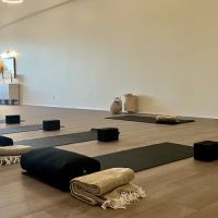 Warrior Won Yoga ico