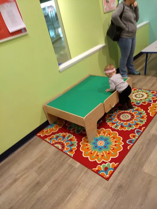 The Little Gym of South County Picture 5