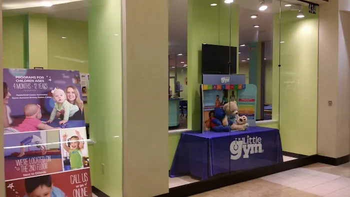 The Little Gym of South County Picture 9