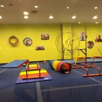 The Little Gym of South County ico