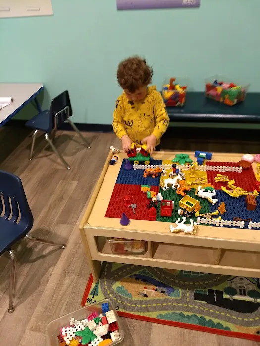 The Little Gym of South County Picture 6