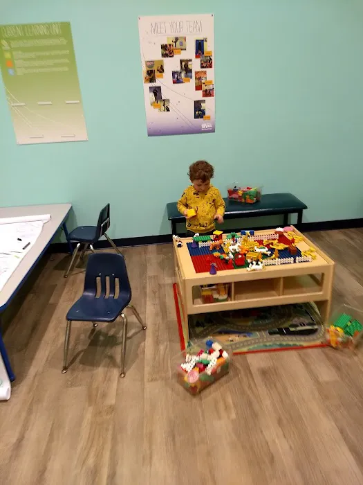 The Little Gym of South County Picture 4