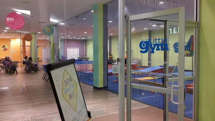 The Little Gym of South County Picture 7