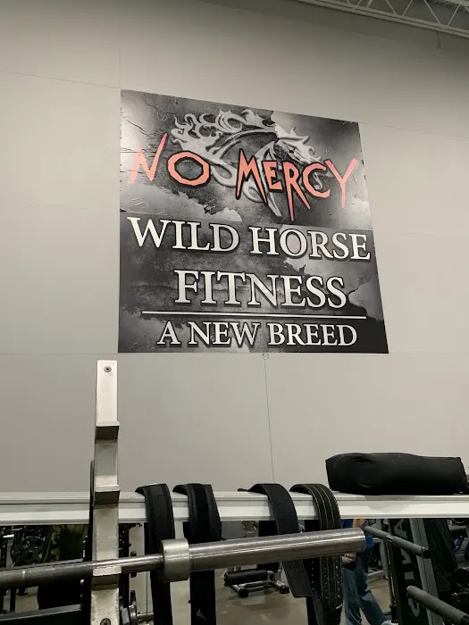 Wild Horse Fitness Picture 8