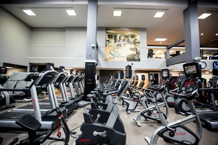 Wild Horse Fitness Picture 4