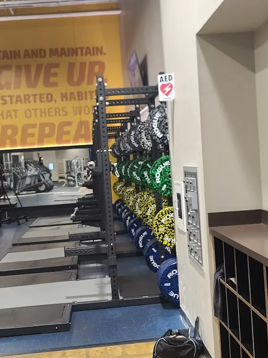 Club Fitness - Ellisville Picture 2