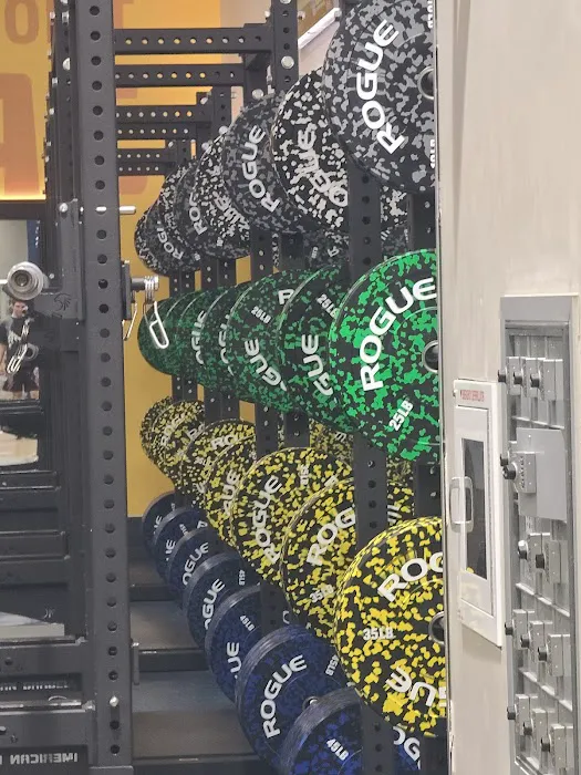 Club Fitness - Ellisville Picture 8